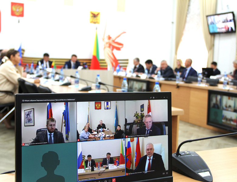 На Ассоциации «Дальний Восток и Забайкалье» обсудили вопрос урегулирования конфликта интересов в работе депутата