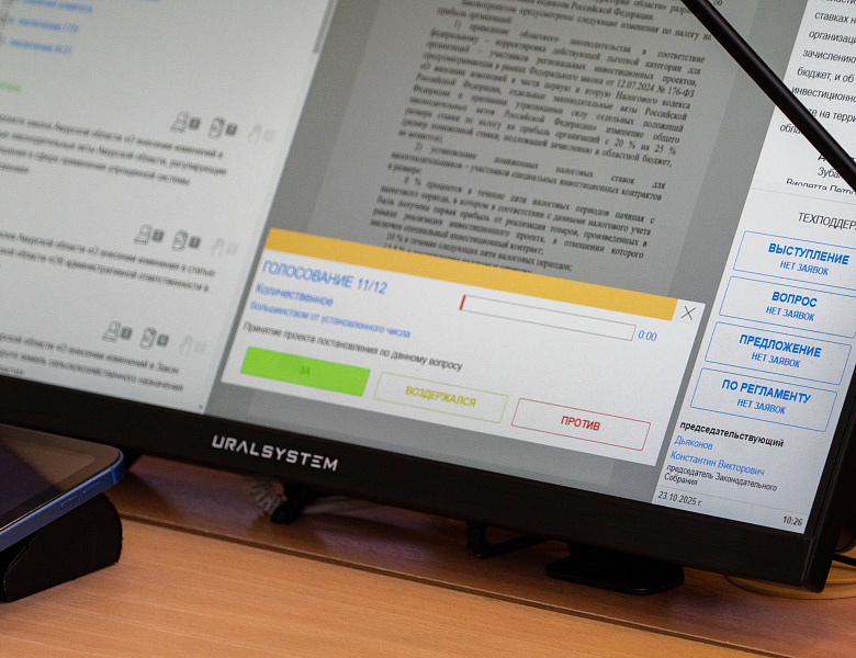 Для депутатов муниципальных образований Приамурья меняется порядок предоставления сведений о доходах