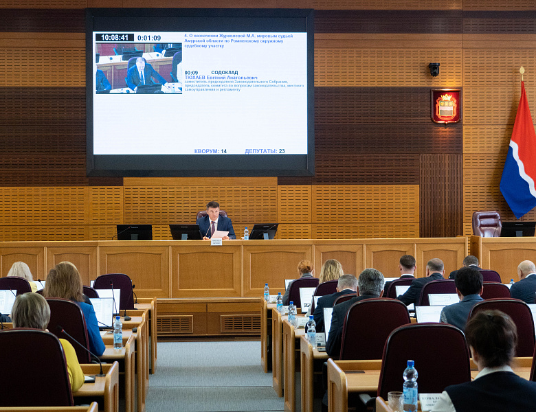 В Приамурье за невыполнение решений КЧС будут привлекать к административной ответственности