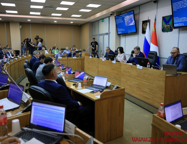 Базовый закон об организации местного самоуправления принят в Приморье