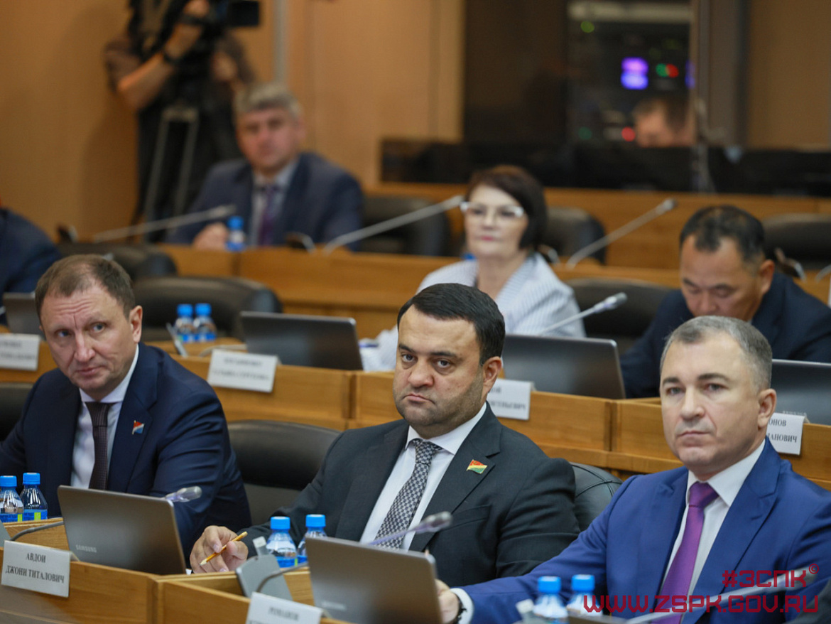 В Приморье право муниципальных властей регламентировать использование электросамокатов закрепили в краевом законе