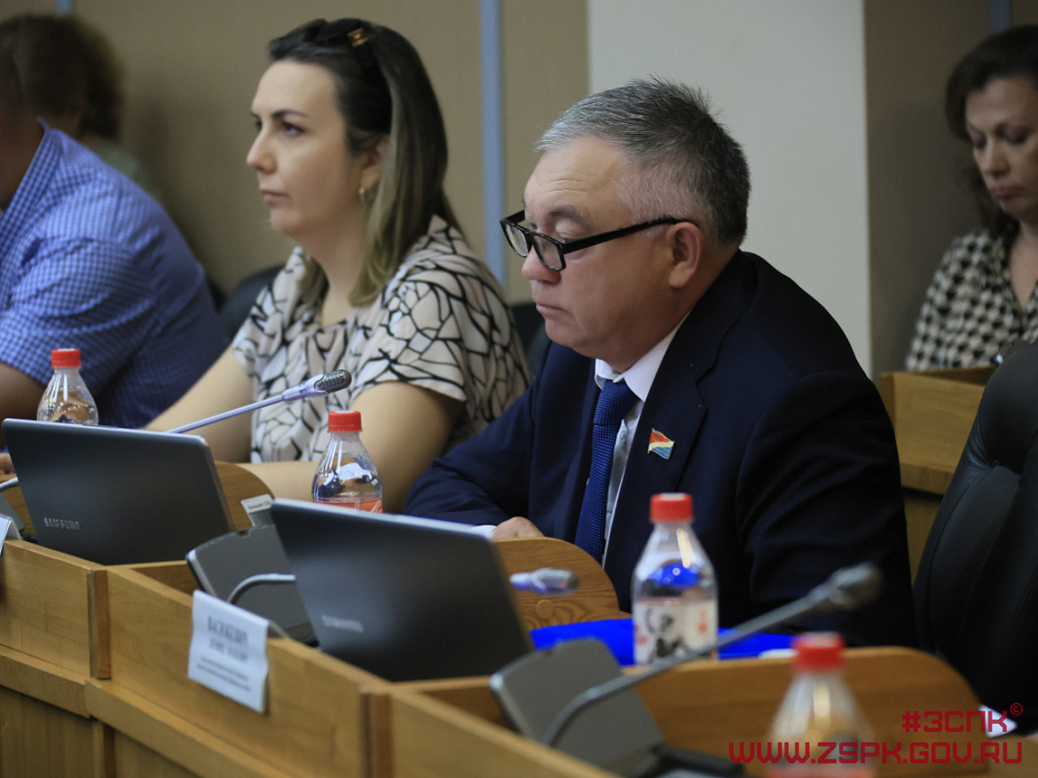 Новые штрафы за нарушения требований по обращению с безнадзорными животными предлагают ввести в Приморье