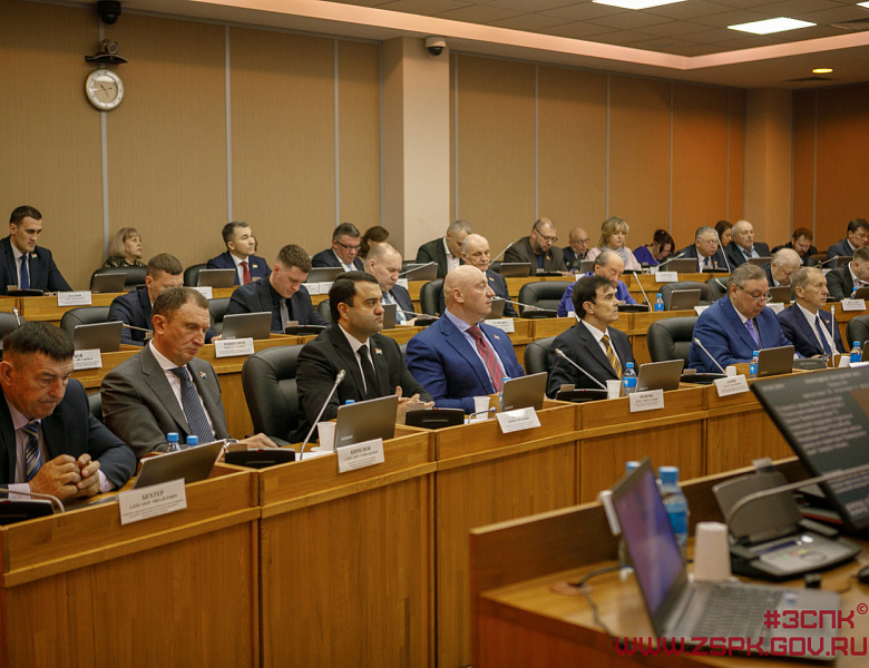 Новые меры поддержки для многодетных семей установлены в Приморье