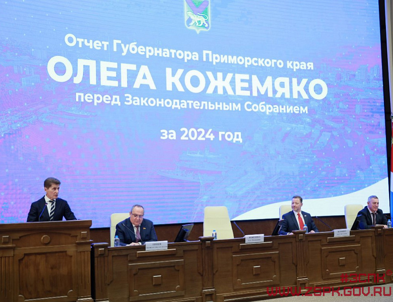 Антон Волошко: У Губернатора есть чёткий стратегический план развития Приморского края