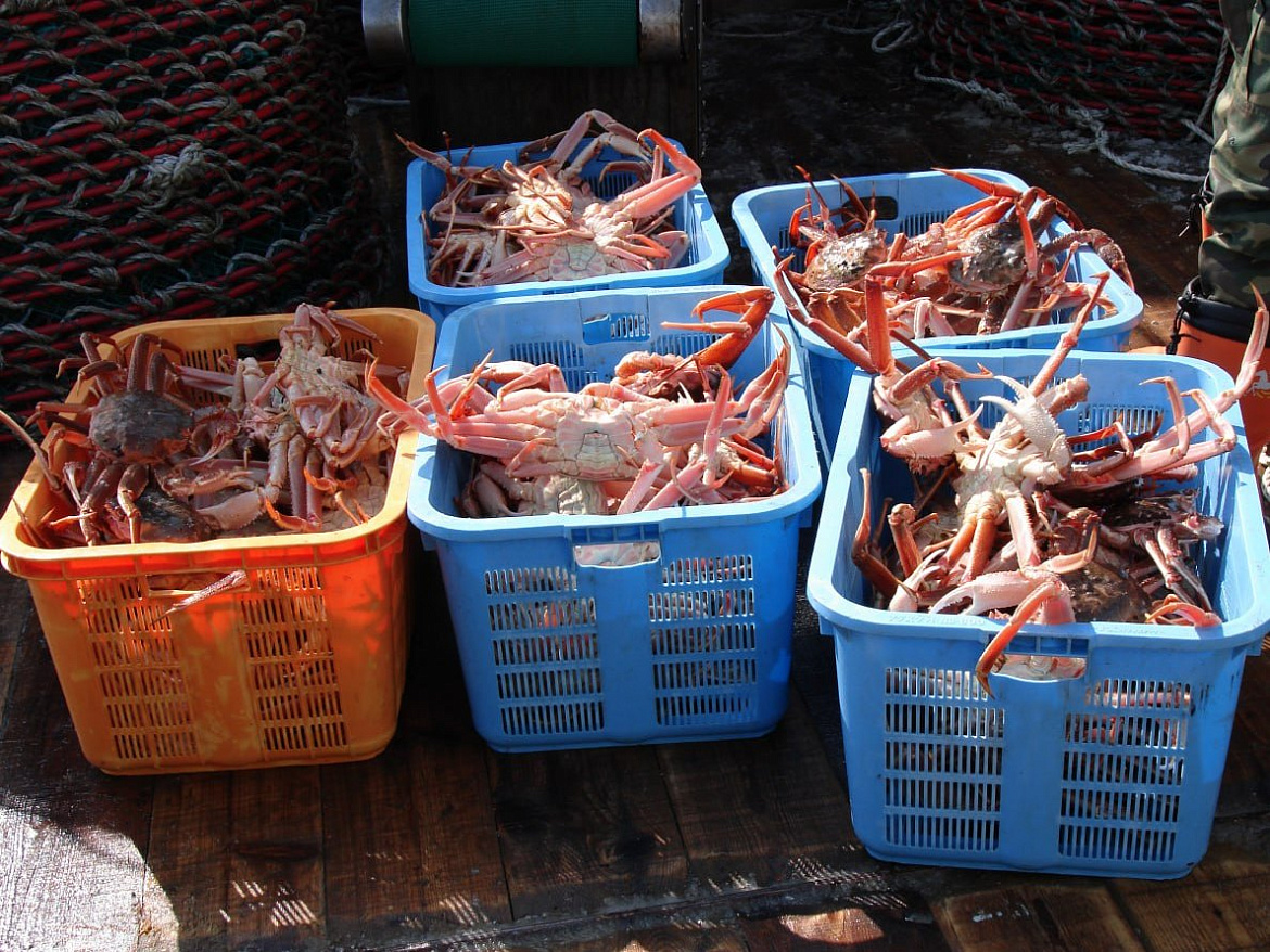 В интересах рыбаков