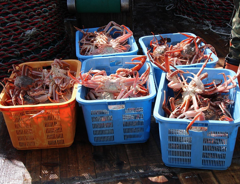 В интересах рыбаков