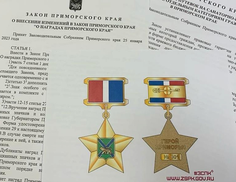Александр Ролик: "Поддержка участников СВО и членов их семей – в приоритете депутатов краевого парламента"